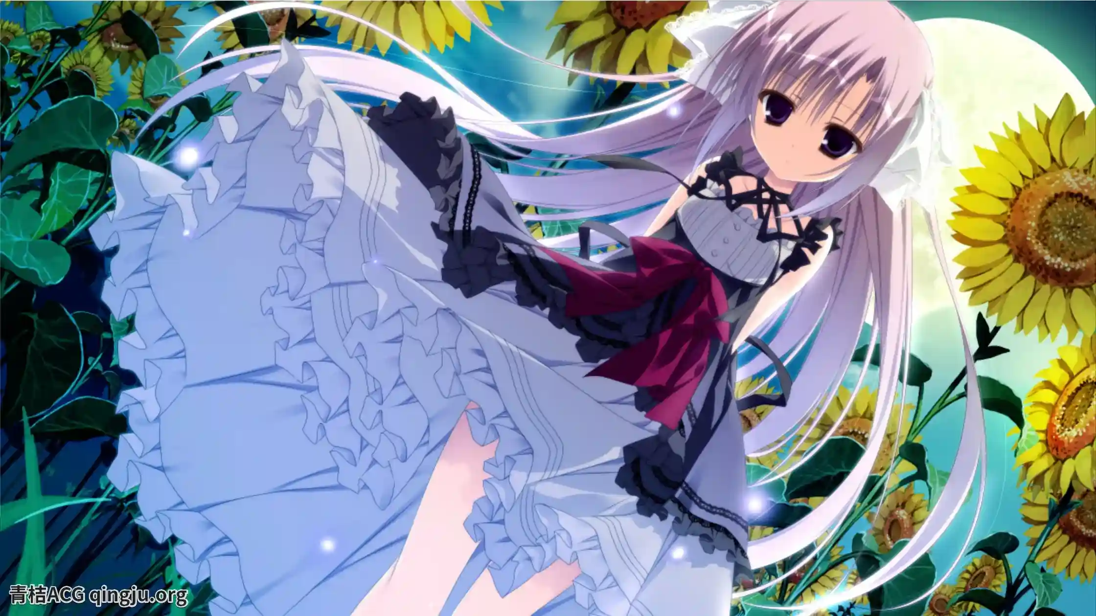 【PC硬盘】向日葵的教会与长夏假期／向日葵の教会と長い夏休み 完整解析图片-2